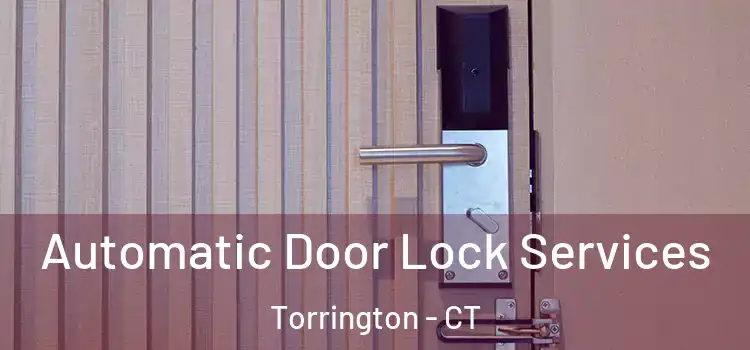 Automatic Door Lock Services Torrington - CT