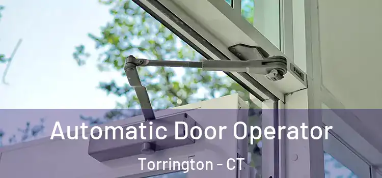 Automatic Door Operator Torrington - CT