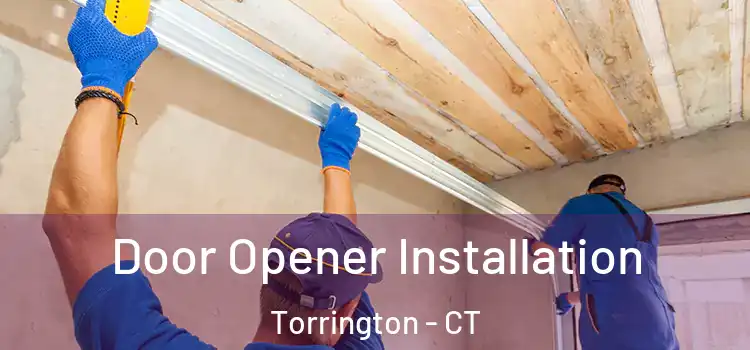 Door Opener Installation Torrington - CT