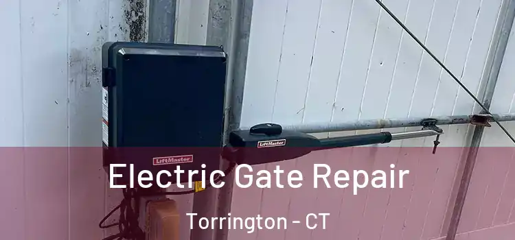 Electric Gate Repair Torrington - CT