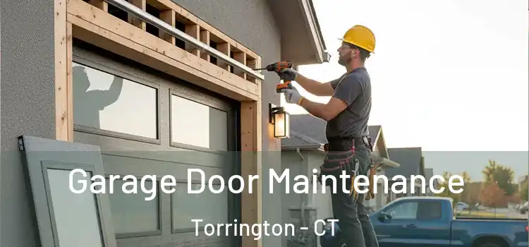 Garage Door Maintenance Torrington - CT