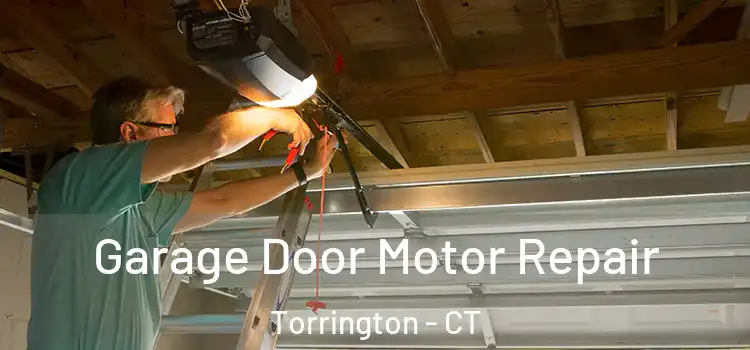  Garage Door Motor Repair Torrington - CT