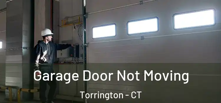  Garage Door Not Moving Torrington - CT