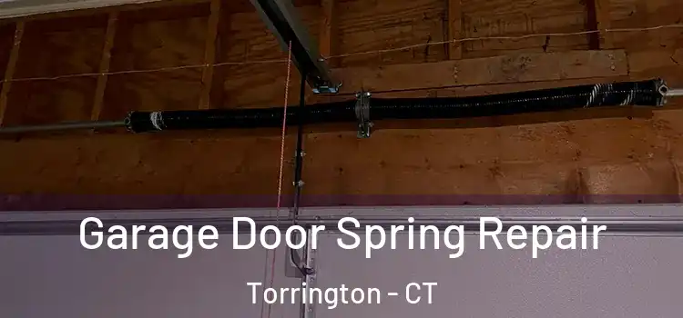  Garage Door Spring Repair Torrington - CT