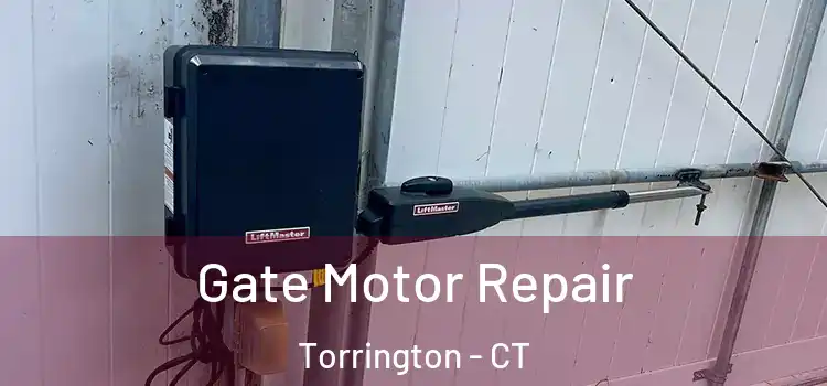 Gate Motor Repair Torrington - CT