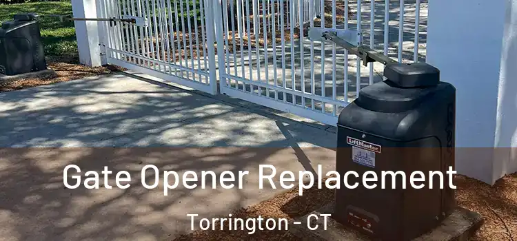  Gate Opener Replacement Torrington - CT