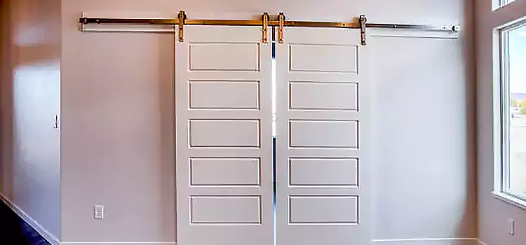 Glass Barn Door with Installation Hardware Kit Torrington