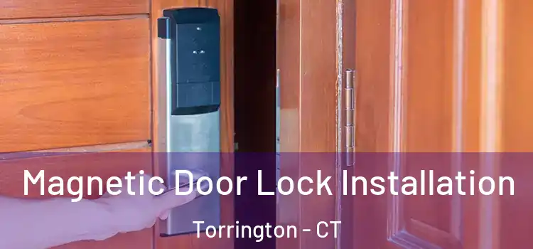  Magnetic Door Lock Installation Torrington - CT