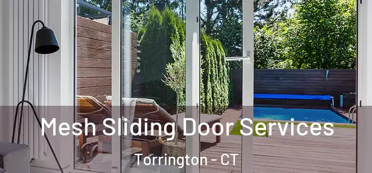 Mesh Sliding Door Services Torrington - CT