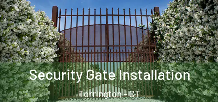 Security Gate Installation Torrington - CT