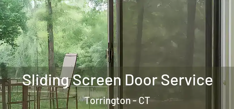Sliding Screen Door Service Torrington - CT